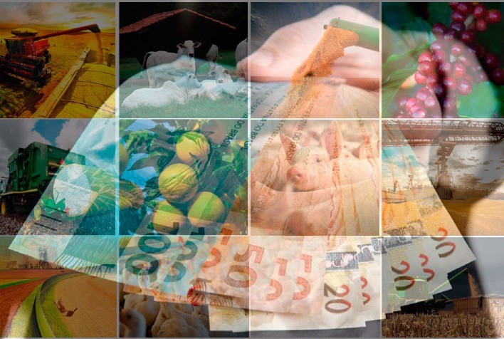 Desafios no controle de preços agrícolas na índia: impactos na produção e no mercado global