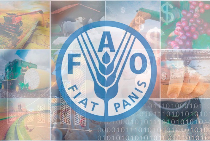 Índice mundial de preços de alimentos fecha 2023 com queda de cerca de 10% ante 2022