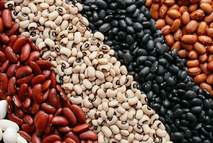 Aumento na demanda de feijão marca o início da semana