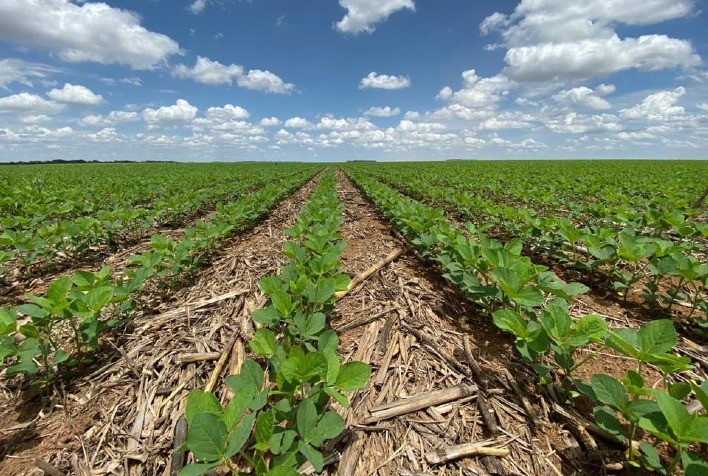 Plantio de soja está quase concluído no Oeste da Bahia