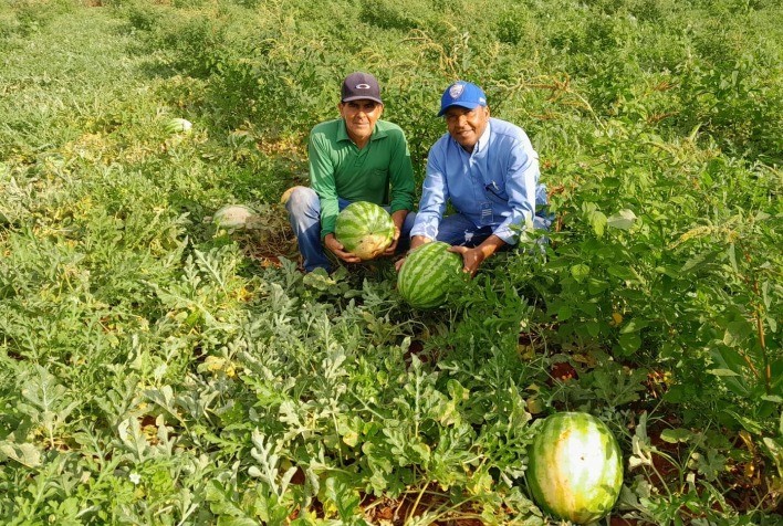 Programa de Irrigação da Abapa fortalece a agricultura familiar no Sudoeste e Oeste da Bahia