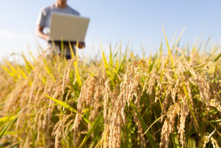 Agroindústria já pode aderir ao programa da Receita Federal que libera pagamento de dívidas tributárias sem juros