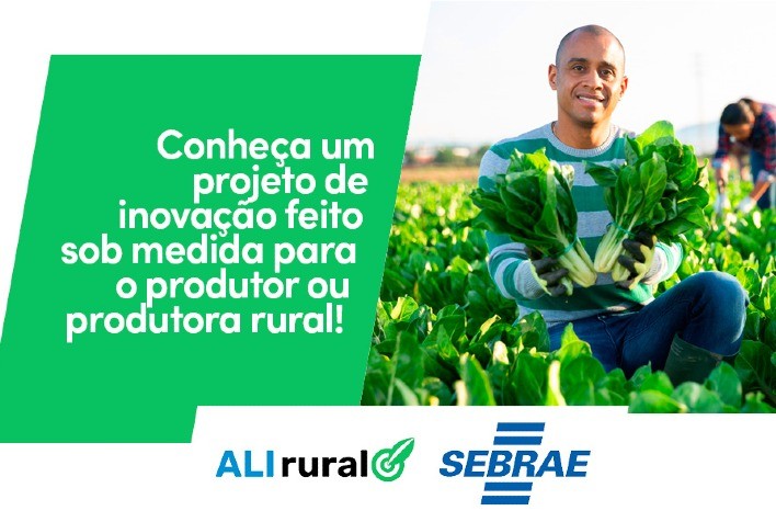 Pequenos produtores têm aumento de faturamento em 17%, na média, com orientação do projeto ALI Rural