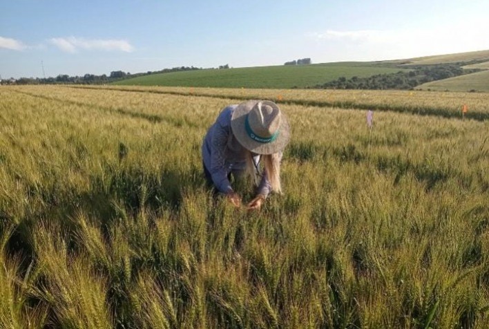 Soluções biológicas são foco da Biotrop na Dinetec 2024, em Canarana (MT)