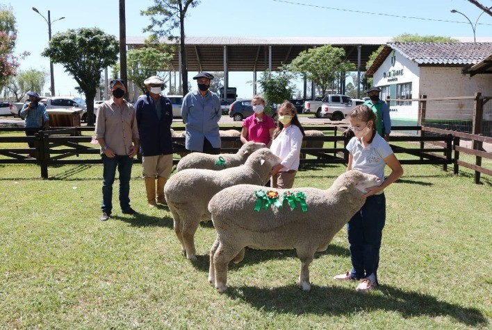 Embrapa Pecuária Sul participa da 16ª Agrovino de Bagé