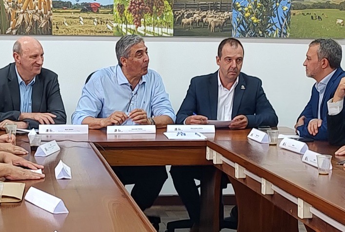 Arrozeiros apresentam demandas para o novo secretário de Política Agrícola do Mapa