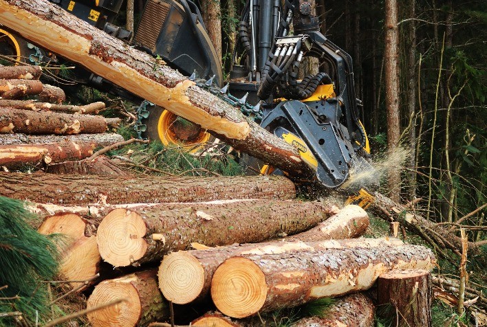 Desenvolvimento sustentável no setor de base florestal exige eficiência nos insumos