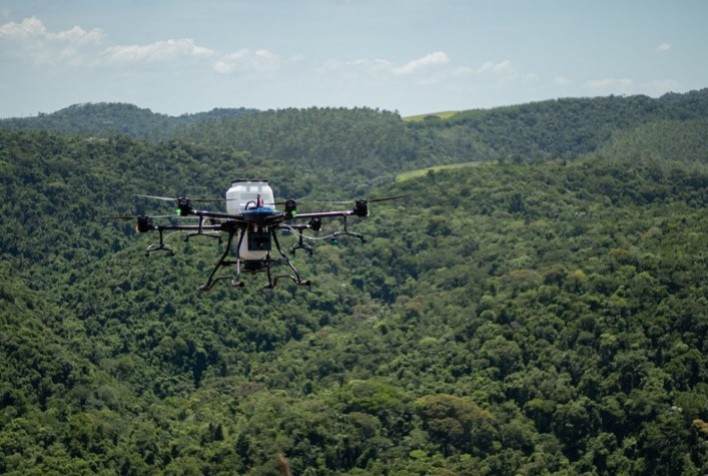 Fazenda no Rio de Janeiro entra no mercado de carbono com reflorestamento sem investimento inicial