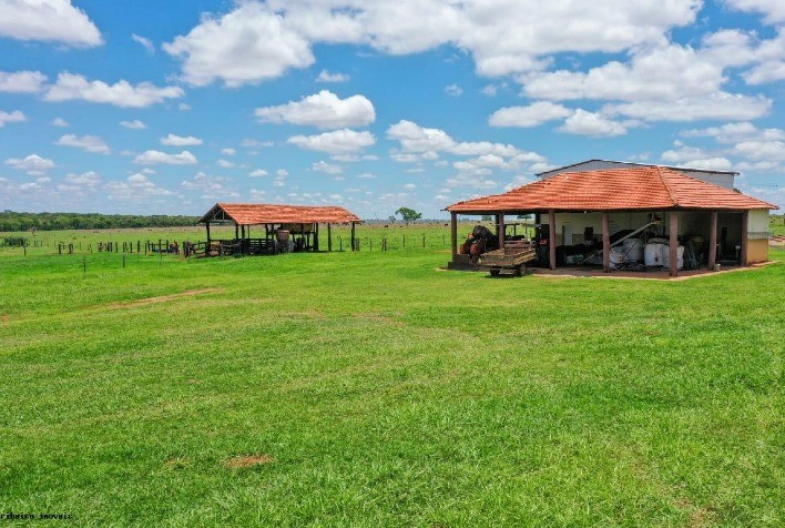 Passo a passo para garantir a preferência na compra de fazenda arrendada ou em parceria rural