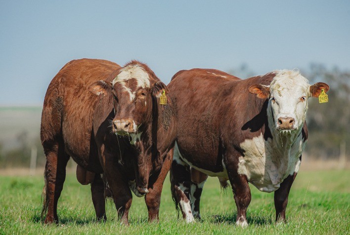 Associados à Conexão Delta G comercializam 2,15 mil exemplares em 2023