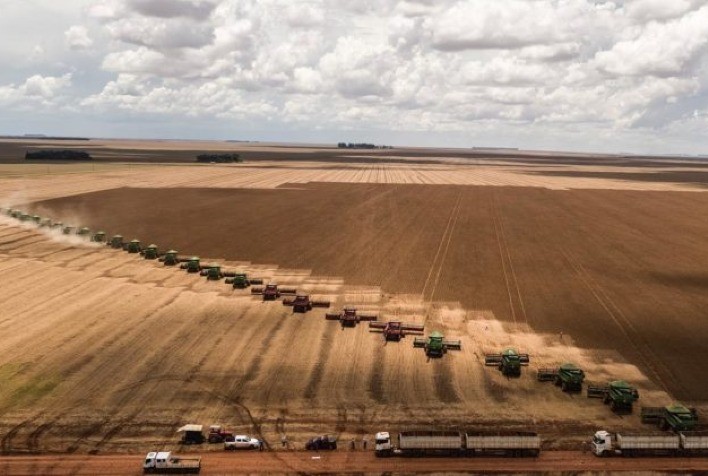 AgRural: Com colheita de soja em 2,3% no Brasil, produção cai para 150,1 mi de t