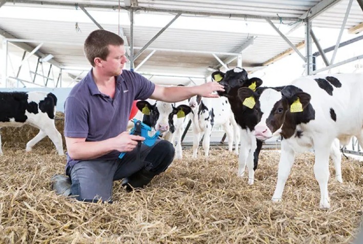 Programa revoluciona rebanhos leiteiros em todo país