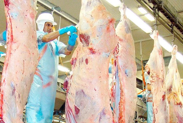 Aumento expressivo no abate de bovinos em Mato Grosso em 2023: conheça os destaques no ranking das cidades