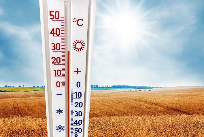Estações meteorológicas e tecnologias avançadas impactam a agricultura moderna