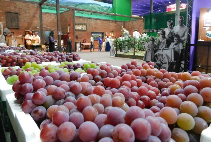 Circuito das Frutas abre temporada de festas no interior de São Paulo