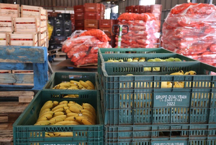 Do campo à mesa: Como evitar o desperdício de alimentos