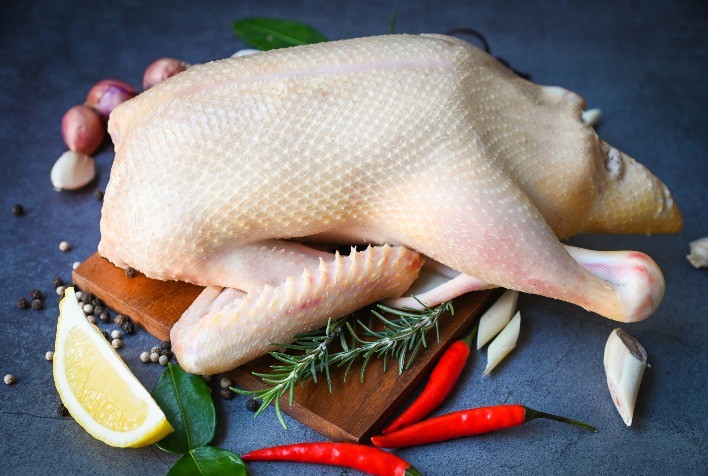 ABPA: Embarques de carne de pato crescem 18,9% em 2023