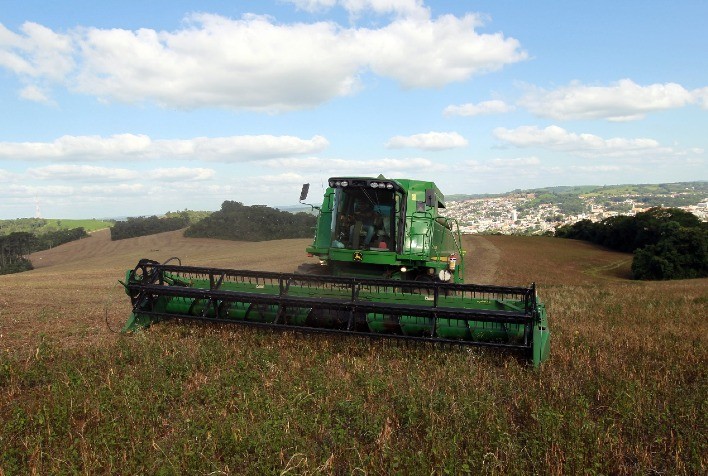 Panorama atual do mercado de feijão: Colheita inicial em Minas Gerais e desafios climáticos