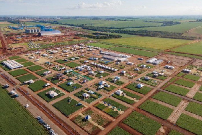 Dia de Campo de Verão C.Vale: inovações impulsionam o desempenho na produção animal