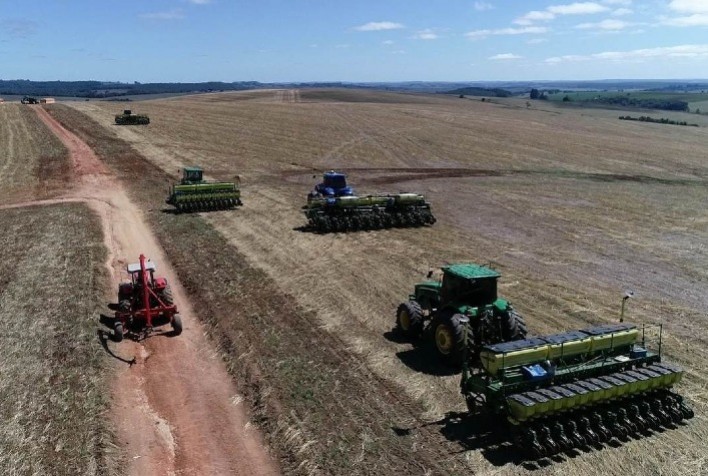 Plantio da segunda safra de feijão no Paraná alcança 21%, aponta DERAL