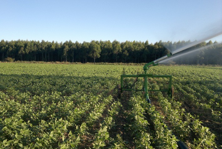 Planejamento tributário é fundamental na hora de recolher o Funrural