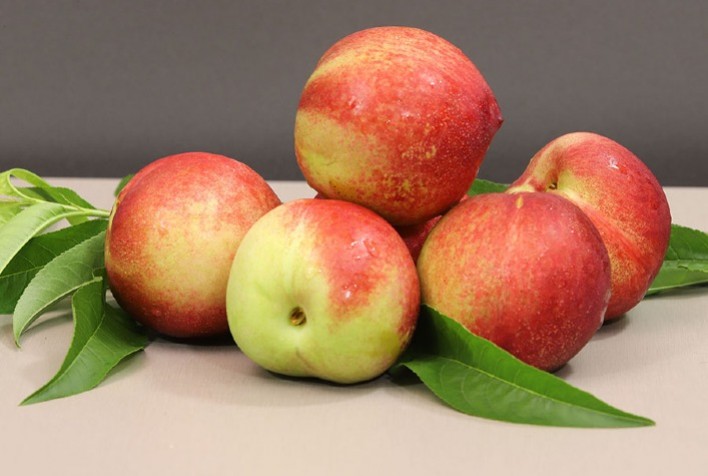 Novas nectarinas garantem oferta de fruta por mais tempo ao consumidor