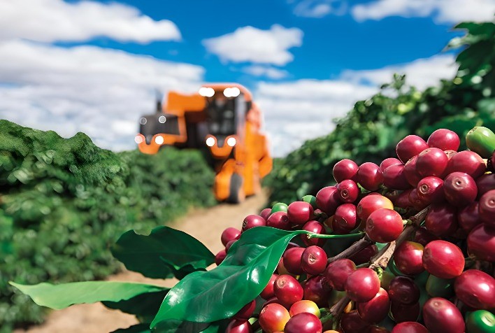 Mercado Internacional de Café Apresenta Inversão e Sinaliza Preocupações com Oferta Imediata