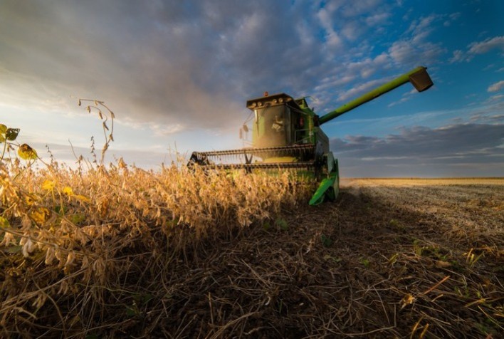 Baixa produtividade e queda no preço da soja deve endividar ainda mais produtores rurais