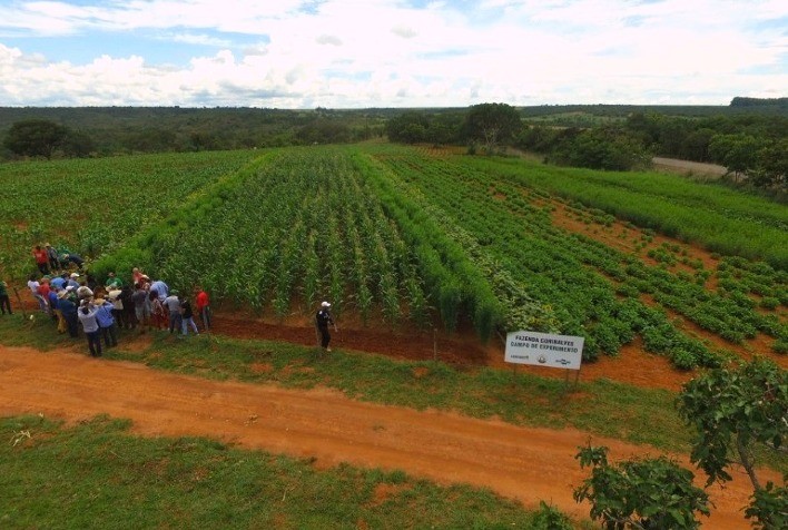 Estratégias agroecológicas garantem produção de alimentos saudáveis e resistência às adversidades climáticas