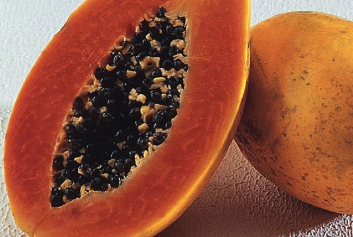 Valorização do Mamão Havaí no norte do Espírito Santo após semanas de queda