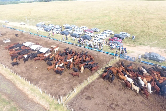 Censo apresenta abrangência do Instituto Desenvolve Pecuária