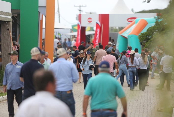 Abertura da Colheita do Arroz movimenta o turismo e a economia da região Sul do Estado