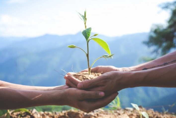 Sucessão é desafio para empresas agrícolas familiares