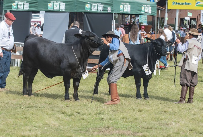ANC define data da Fenagen Promebo em Pelotas