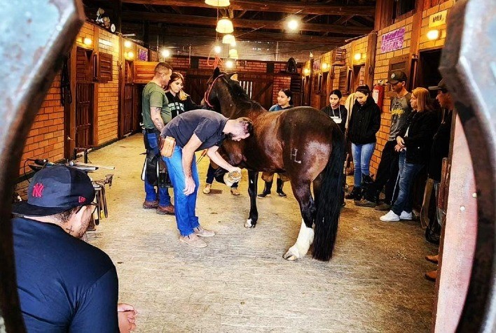 Senar/SC promoverá mais de 300 capacitações gratuitas em fevereiro