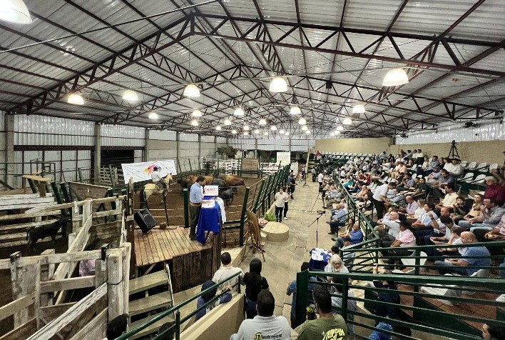 Meta superada: 4º Santa Causa registra arrecadação histórica de R$ 1,3 milhão