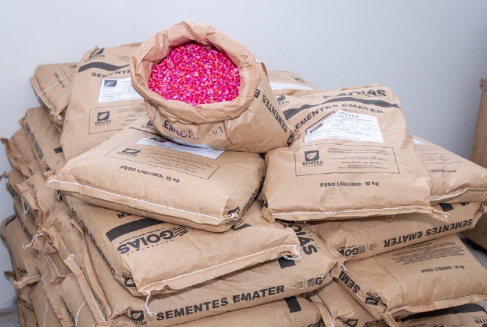 Emater comercializa sementes a preços acessíveis para agricultores familiares goianos