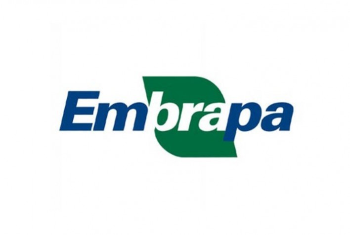 A Embrapa está perto de entrar em crise