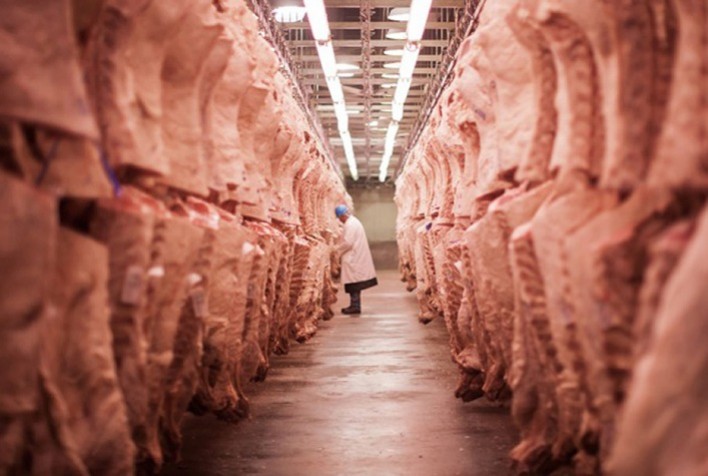 Exportação de carne bovina atinge 168,1 mil toneladas nas primeiras semanas de janeiro/24