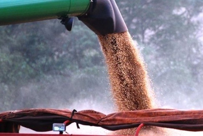 Mercado de soja em Chicago realiza lucros após fortes altas; rumo futuro ainda incerto