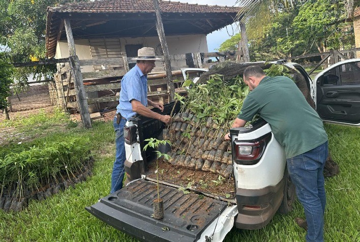 Agro+Verde planta 30 mil mudas no Triângulo Mineiro