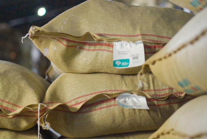 Hub da Expocacer começa operações nos Estados Unidos