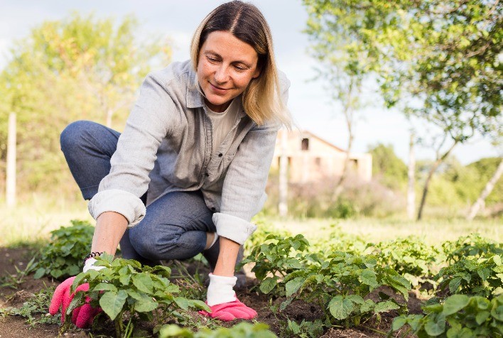 Plantoterapia: cultivo de plantas em casa traz benefícios para a saúde emocional e mental dos brasileiros