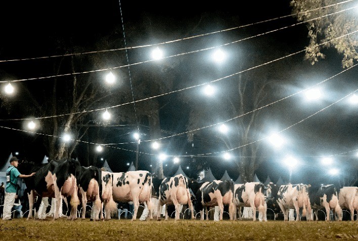 Expoleite Arapoti realiza sua 50ª edição em nova data