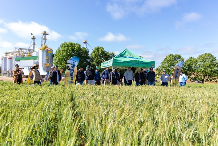 Investir na genética é solução às mudanças climáticas