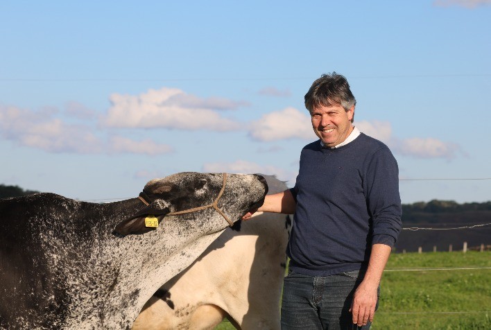 Raça Girolando chega aos 28 anos com recordes