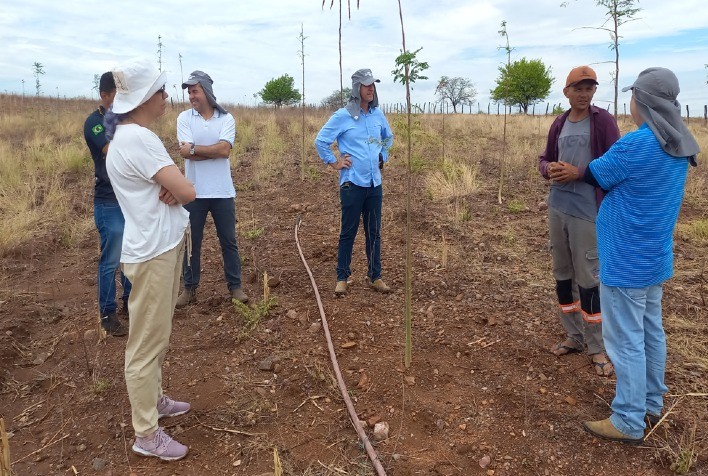 Projeto avalia saúde do solo e segurança alimentar e nutricional de apicultores do Semiárido