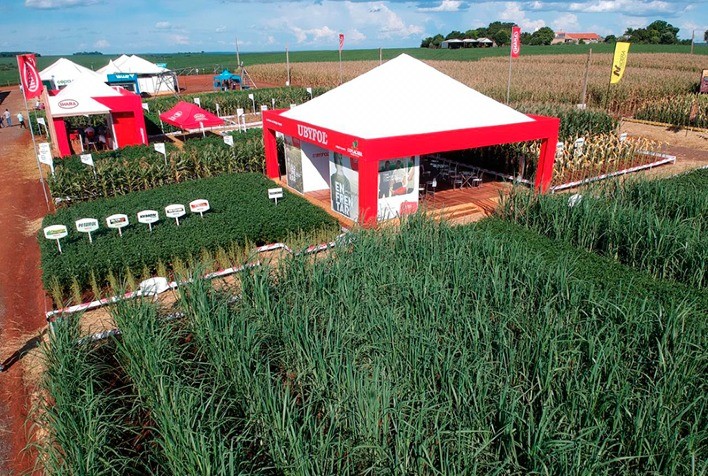 Grupo Uby Agro leva soluções para o Show Rural Coopavel com foco nas culturas de soja e milho