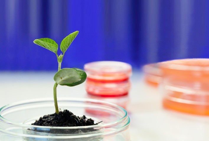 ANPII amplia seu escopo e passa a representar também empresas de biodefensivos