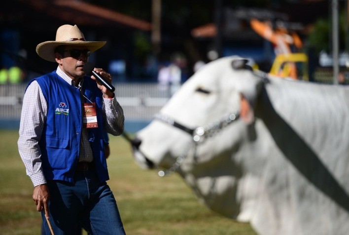 Copa do Mundo do Zebu: Confira novidades para trabalhos de julgamento da 89ª ExpoZebu